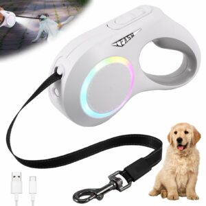 Correa De Paseo Con Linterna y Led Full Color