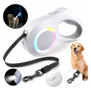 Correa De Paseo Con Linterna y Led Full Color