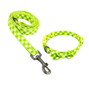Correa y Collar Tejido Para Perros Lemon