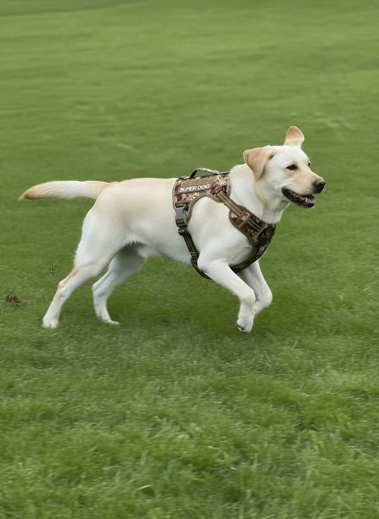 187166c5250ad0652ac4e9d94f012140