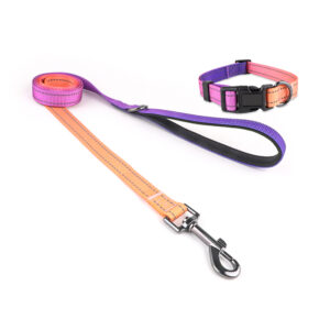 Kit de Paseo Premium Correa y Collar