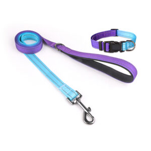 Kit de Paseo Premium Correa y Collar