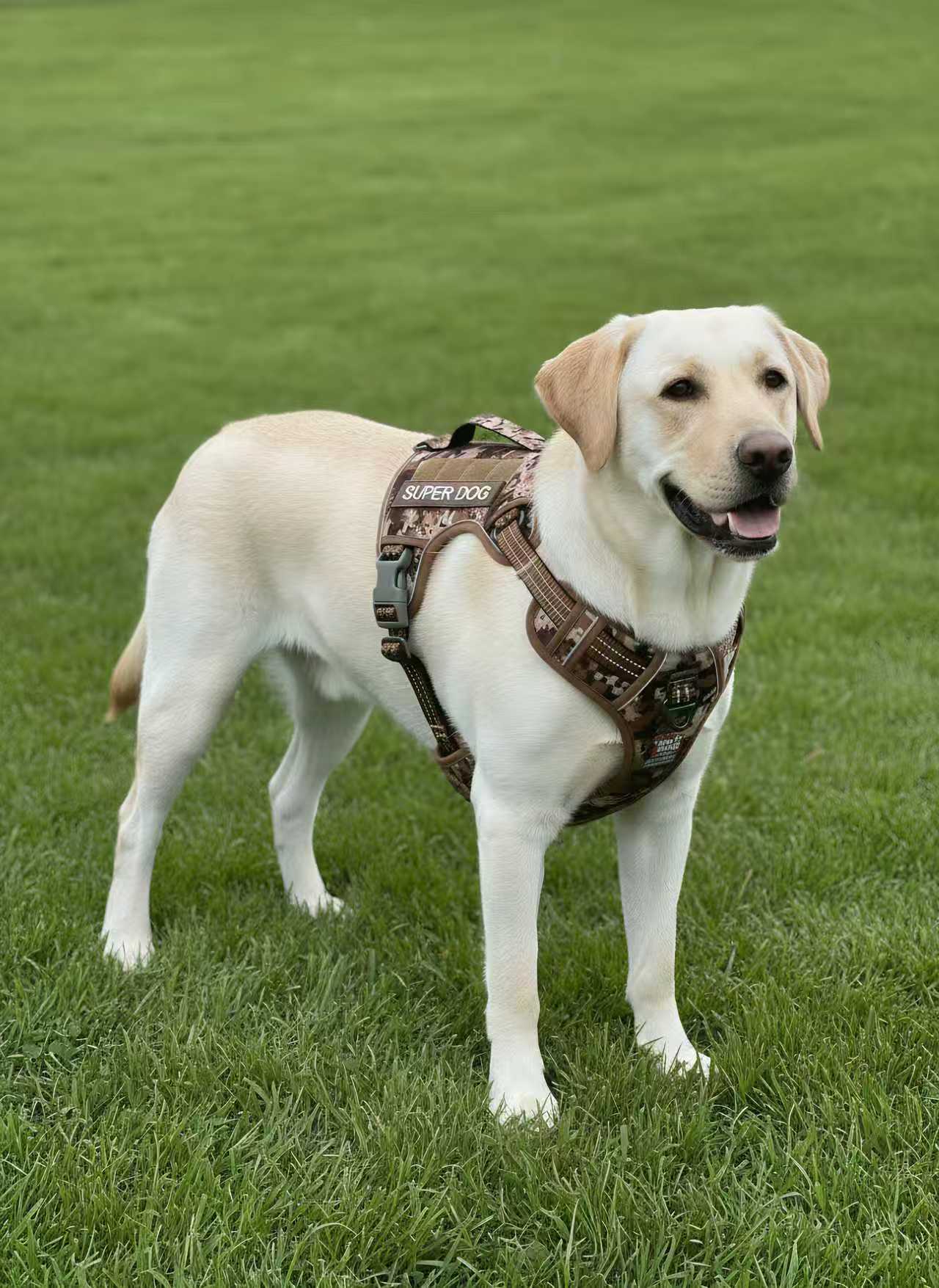 4fb450b71d388042d558e1659ea9e1d3