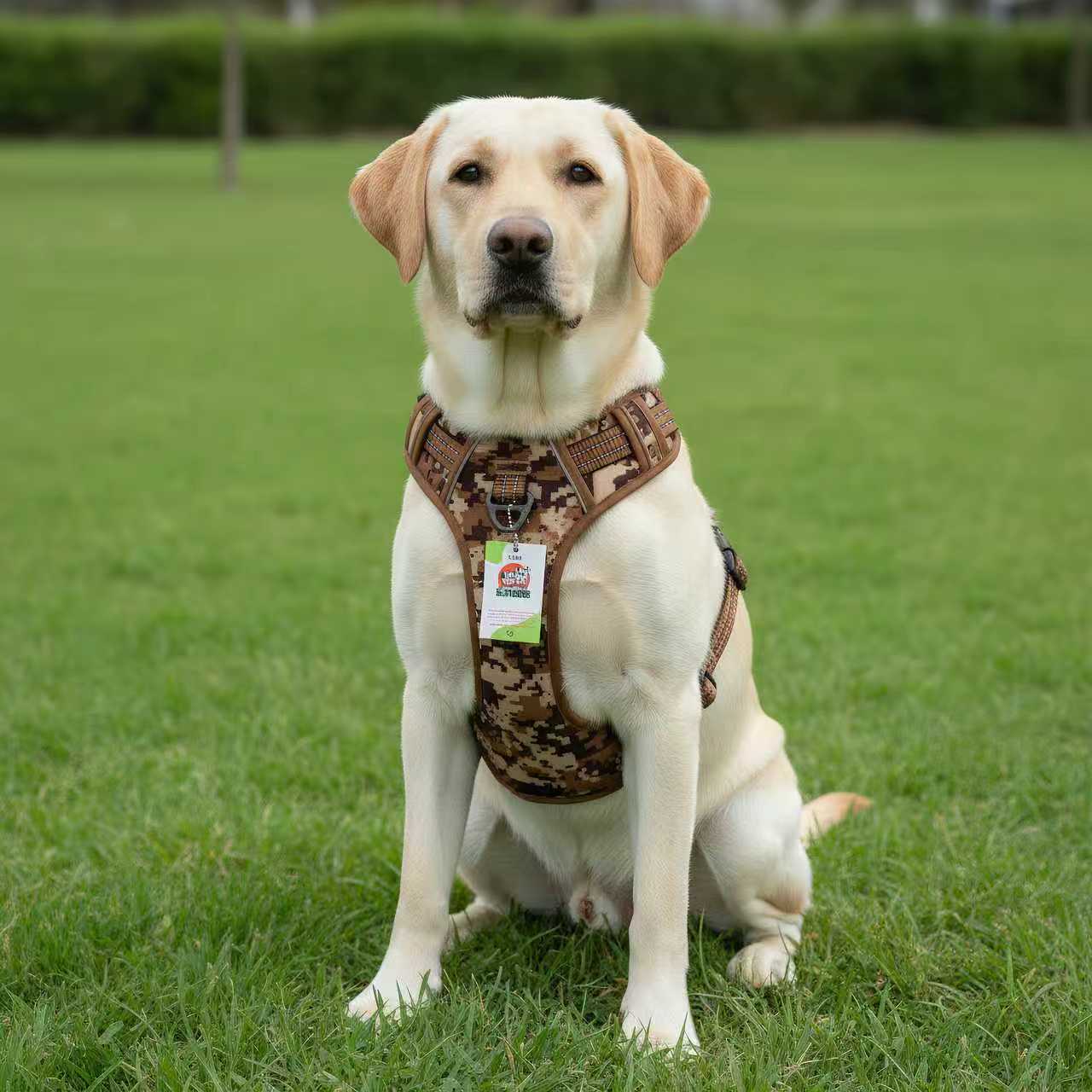 532f852823d27f26165e309afa2c8dbb