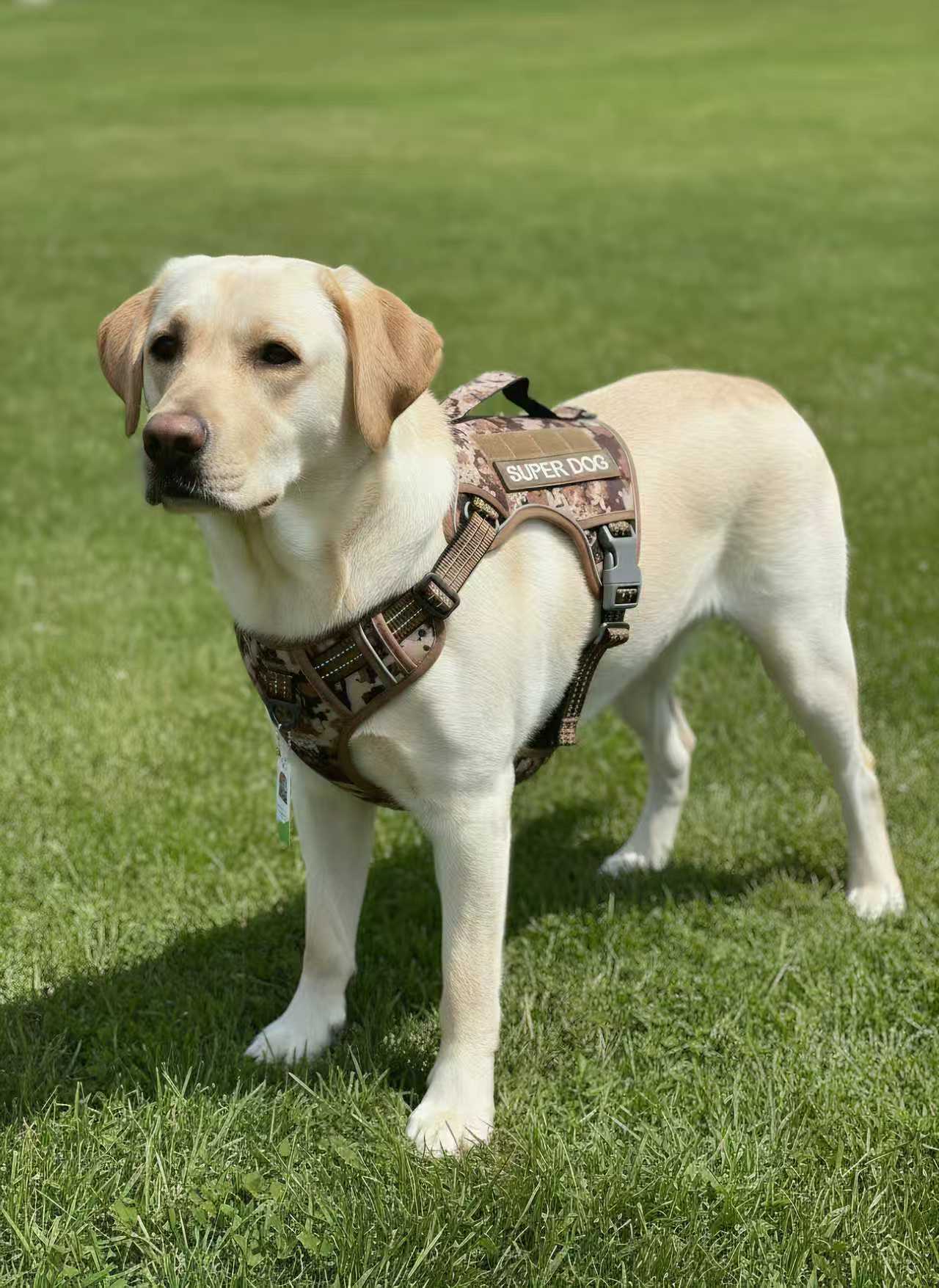 781a98f3a72084b3bdd54b0a3c71f29a