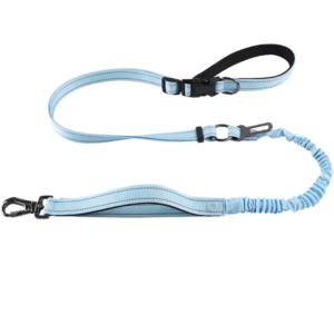 Correa Para Transporte Con Click Para Auto MBF