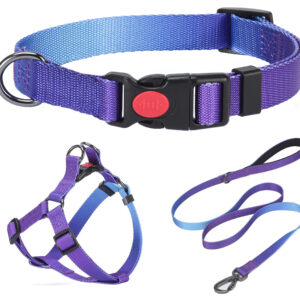 Kit de Paseo Premium Correa Pretal y Collar