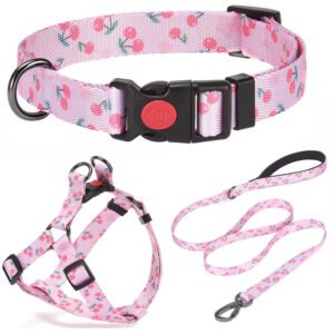 Kit de Paseo Premium Correa Pretal y Collar