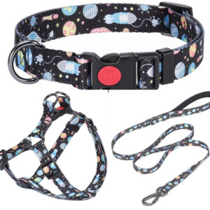 Kit de Paseo Premium Correa Pretal y Collar