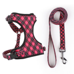 Pretal y Correa Para Mascotas Ajustable