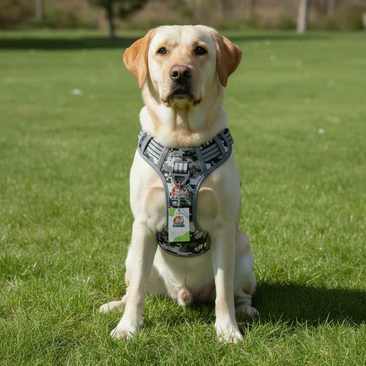 516c79166215fb39d6e996df80bf1699