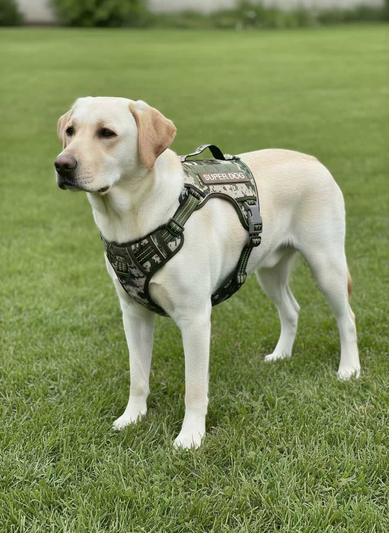 5baa3d19f21975284bb1ef325678465b