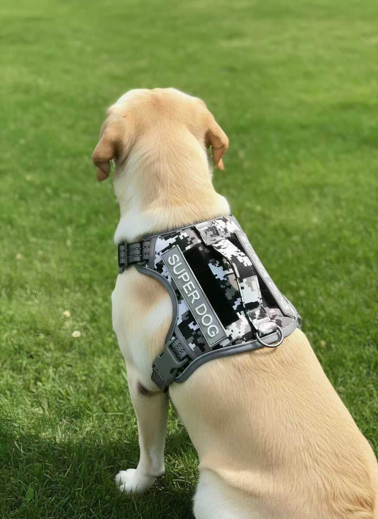 685fc376c82e4e0dfb857663f02c5366