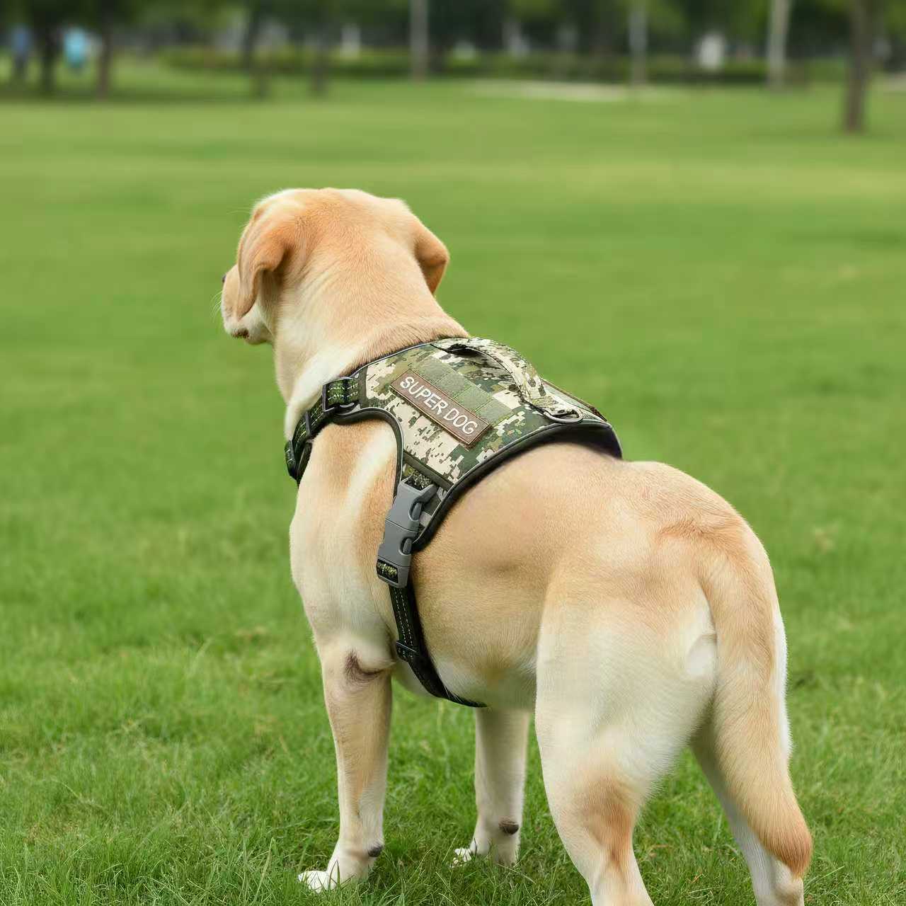 956e75c997f127a2e4e2582314eb3e6d