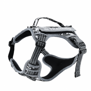 Arnés Pretal Original Superdog Adiestramiento