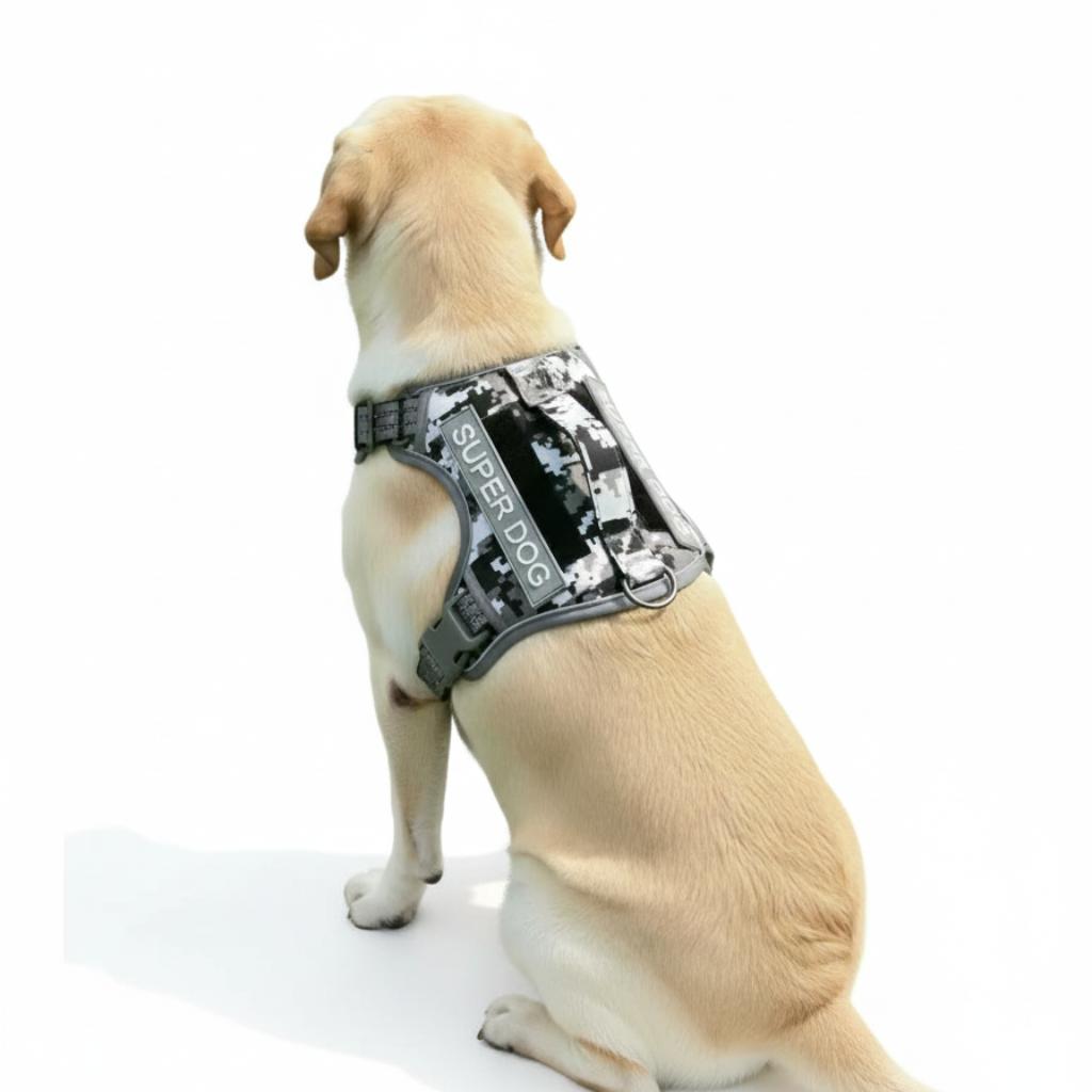 WhatsApp Image 2025-12-03 at 10.11.38