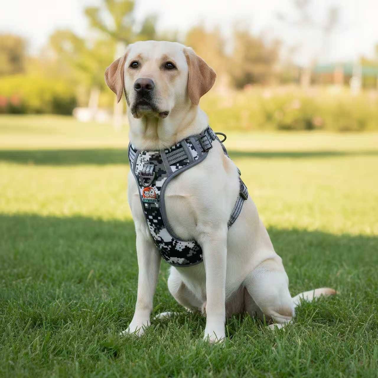 e34b5d188a2a0380c8117f44bc459223