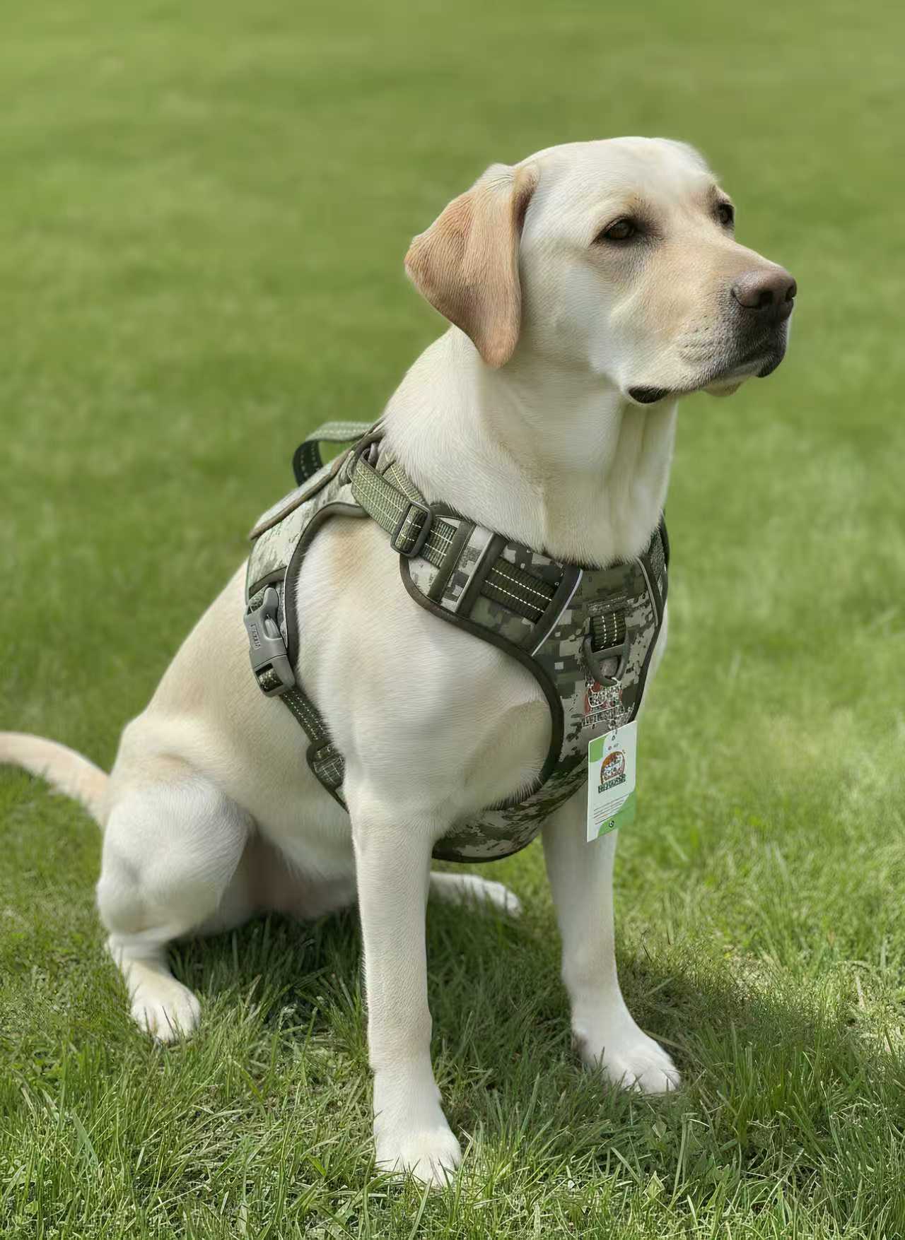 e785894065c70adfee50a4c87abde3c4